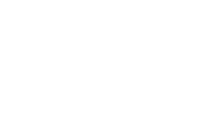 Logo BasellOrlen White